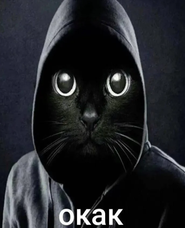 Ошибка 404 - Изображение